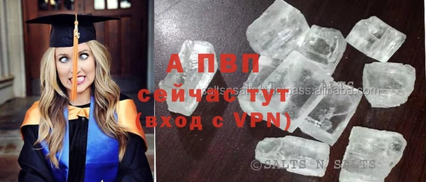 соль ск Белокуриха