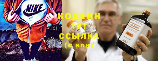 соль ск Белокуриха