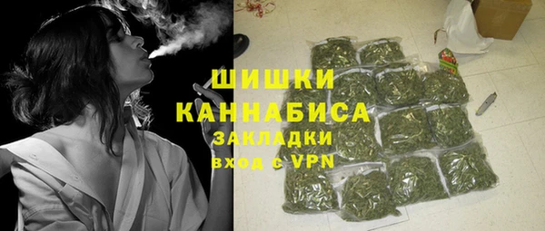 соль ск Белокуриха