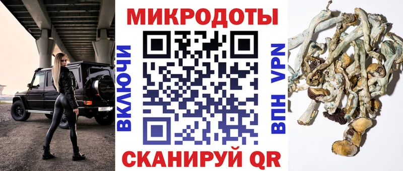 Купить закладки  Перевоз  Галлюциногенные грибы GOLDEN TEACHER 